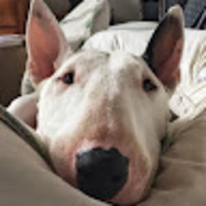 Meet your Posher, Catherine